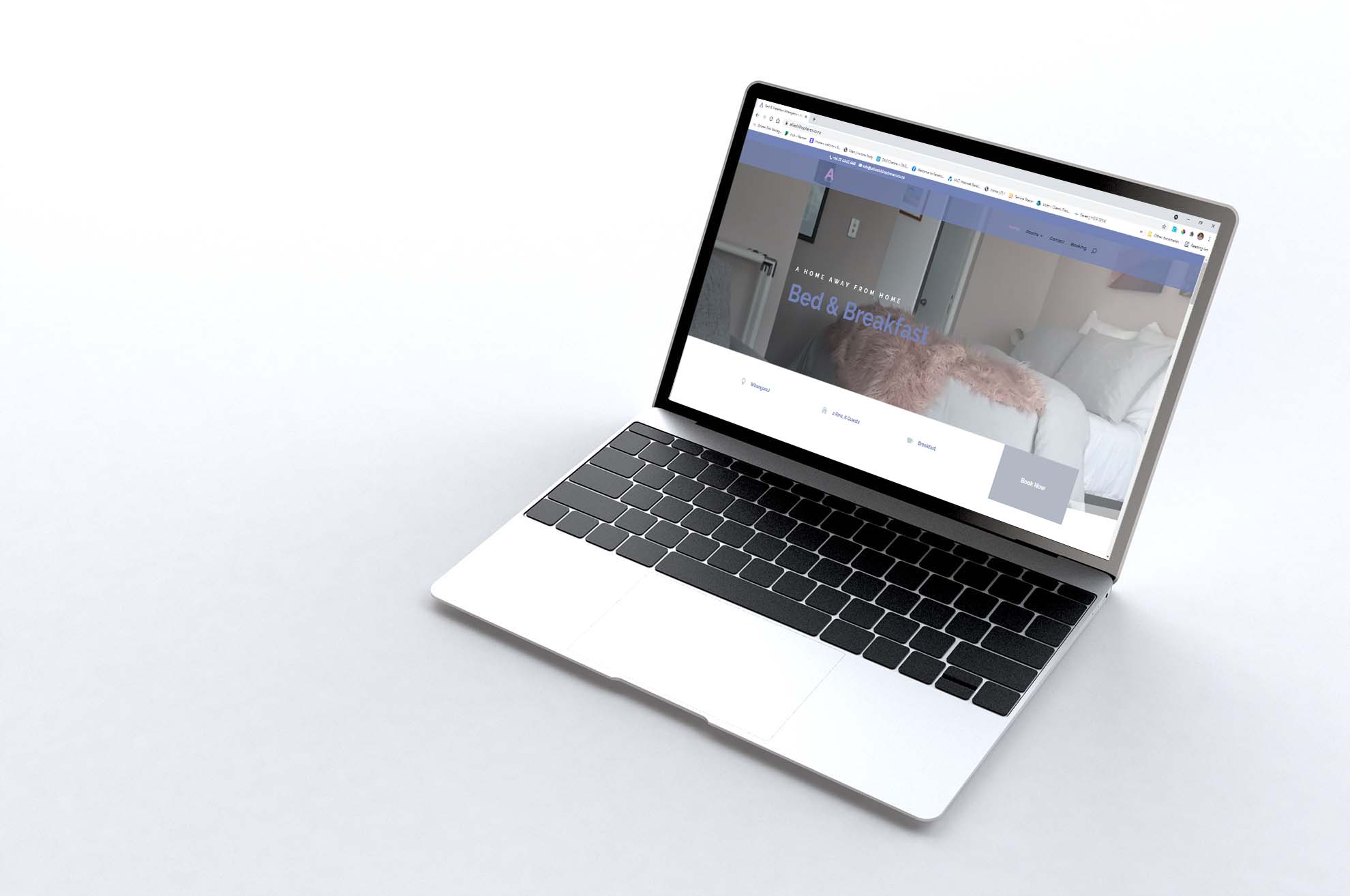 NZ Website design